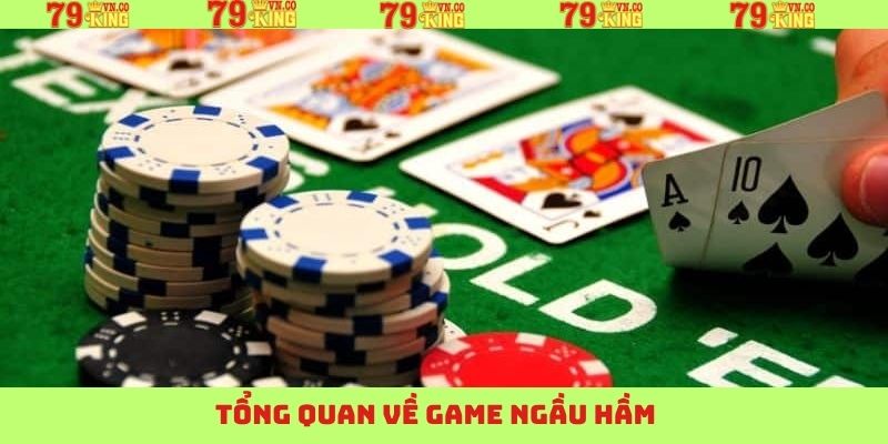 Ngầu Hầm 79King - Tựa Game Cá Cược Hàng Đầu Việt Nam 2 Tổng quan thông tin ngầu hầm